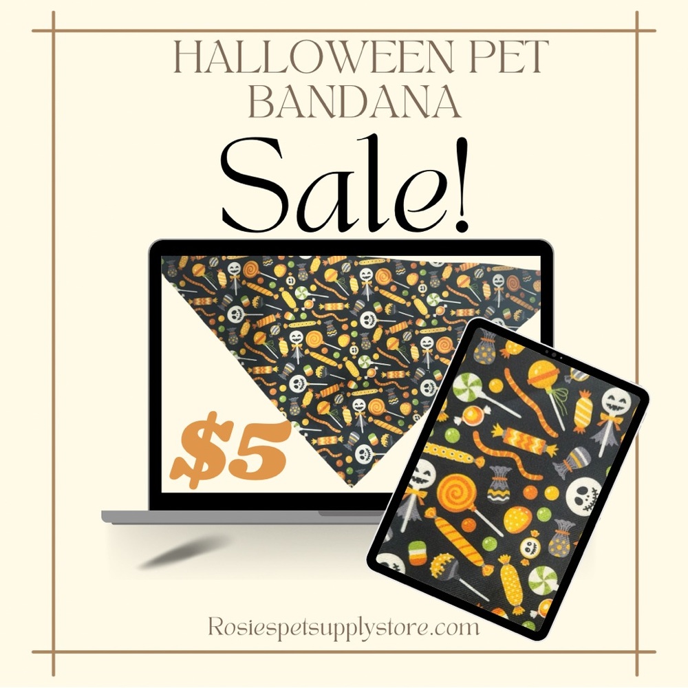 Halloween themed pet bandana